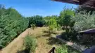 Pest megye - Valkó