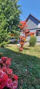 Pest megye - Verőce