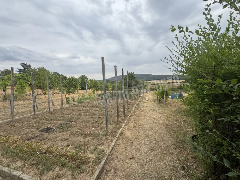 Komárom-Esztergom megye - Vértestolna