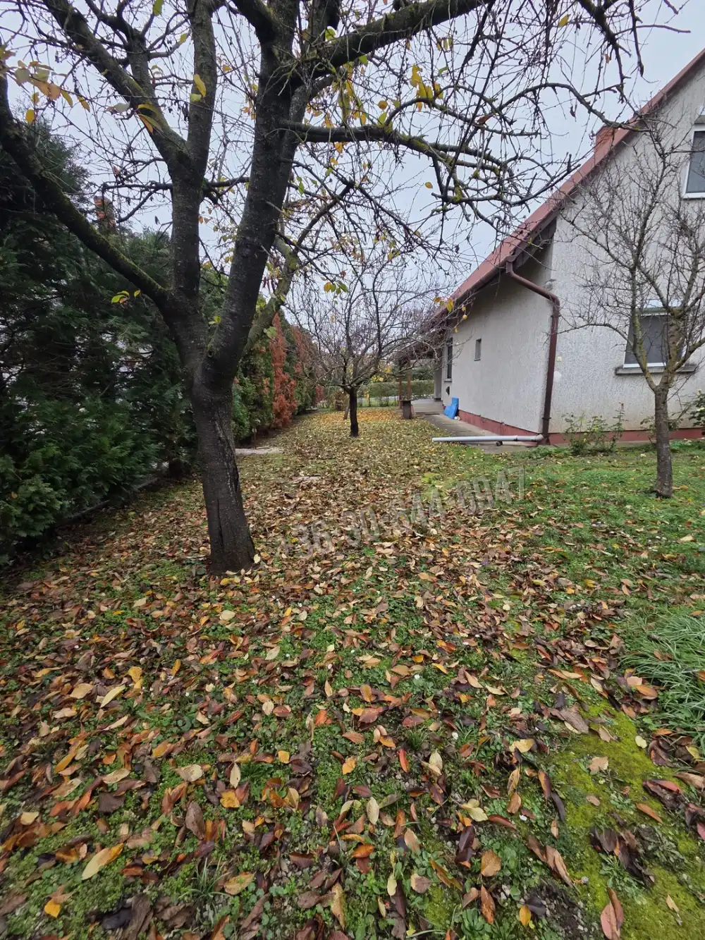 Zala megye - Vonyarcvashegy