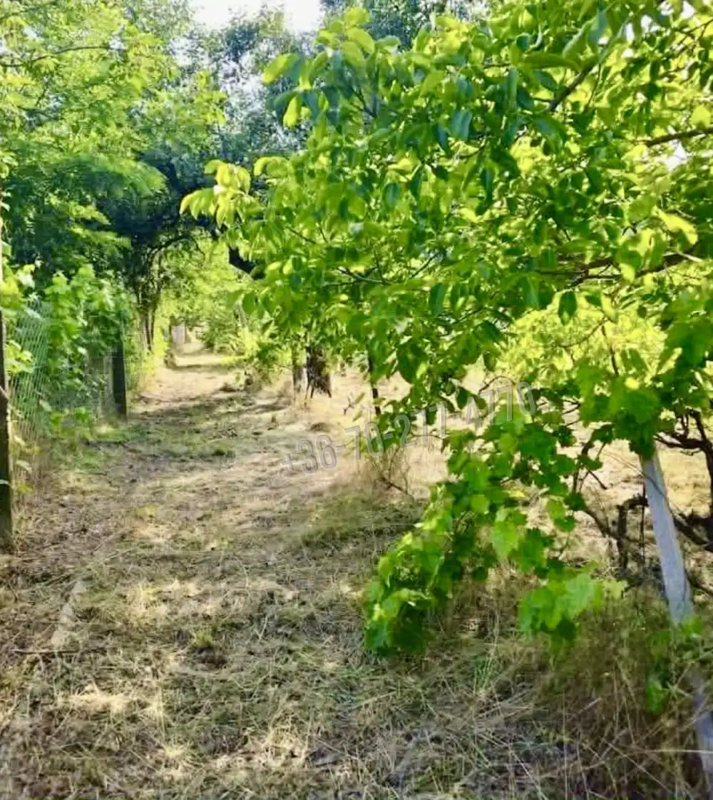 Komárom-Esztergom megye - Oroszlány