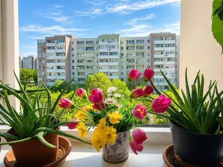 Eladó panel lakás, Budapest, XX. kerület 4 szoba 67 m² 63.9 M Ft