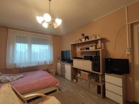 eladó panel lakás, Oroszlány