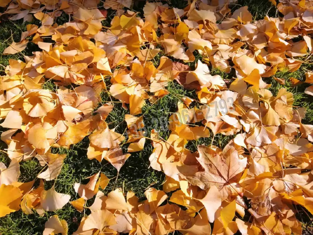 Budapest, I. kerület - Krisztinaváros