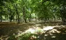 Budapest, XIV. kerület - Alsórákos