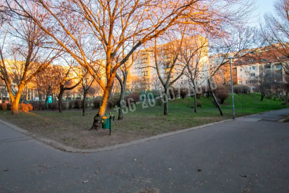 Budapest, XIX. kerület - Kispesti ltp.