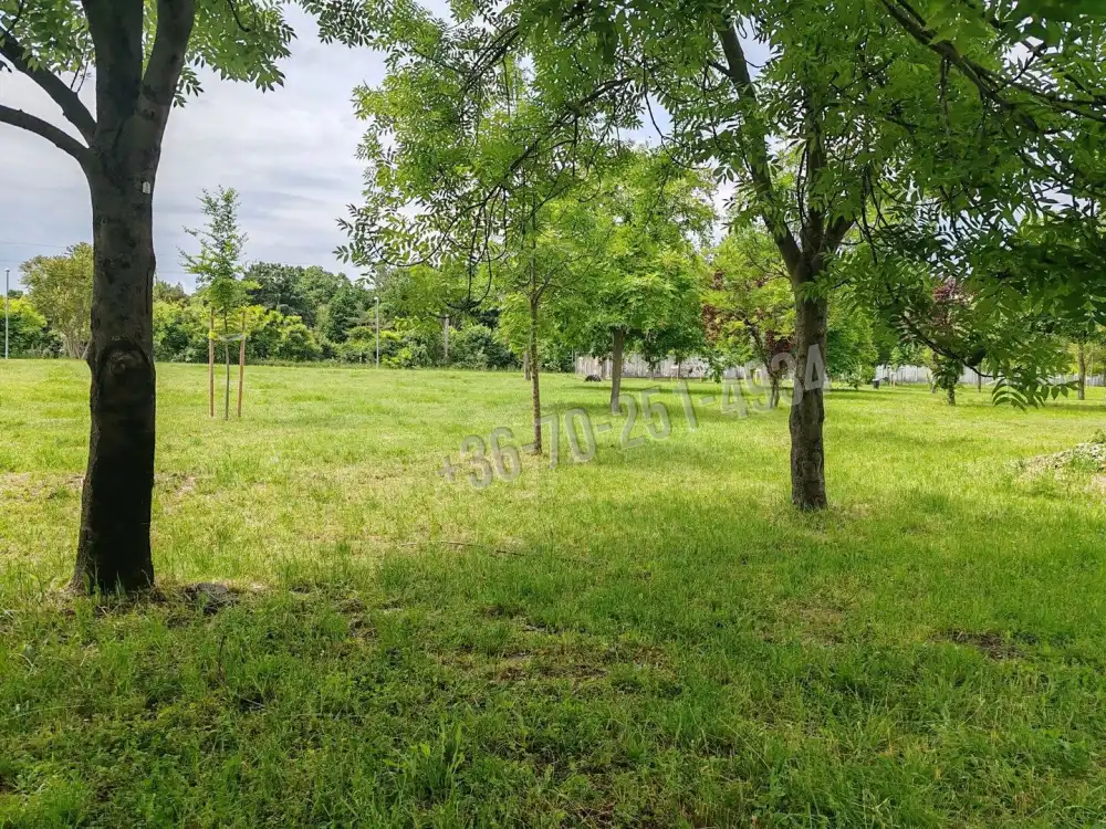 Budapest, XXI. kerület - Csillagtelep
