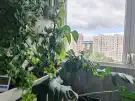 Budapest, XXI. kerület - Belváros
