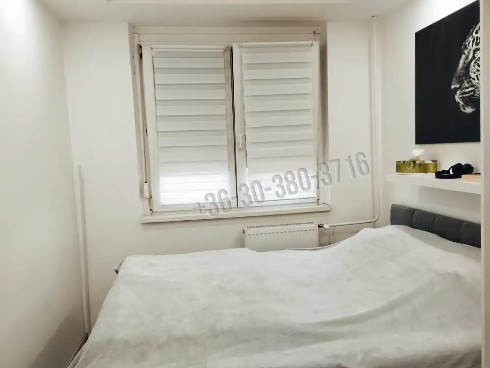 Fejér megye - Dunaújváros