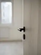 Bács-Kiskun megye - Kiskunfélegyháza