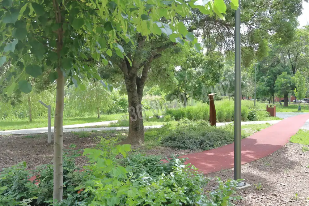 Csongrád megye - Szeged