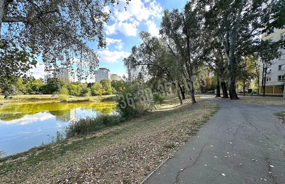 Csongrád megye - Szeged