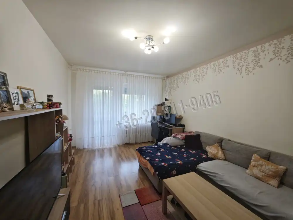 Csongrád megye - Szeged