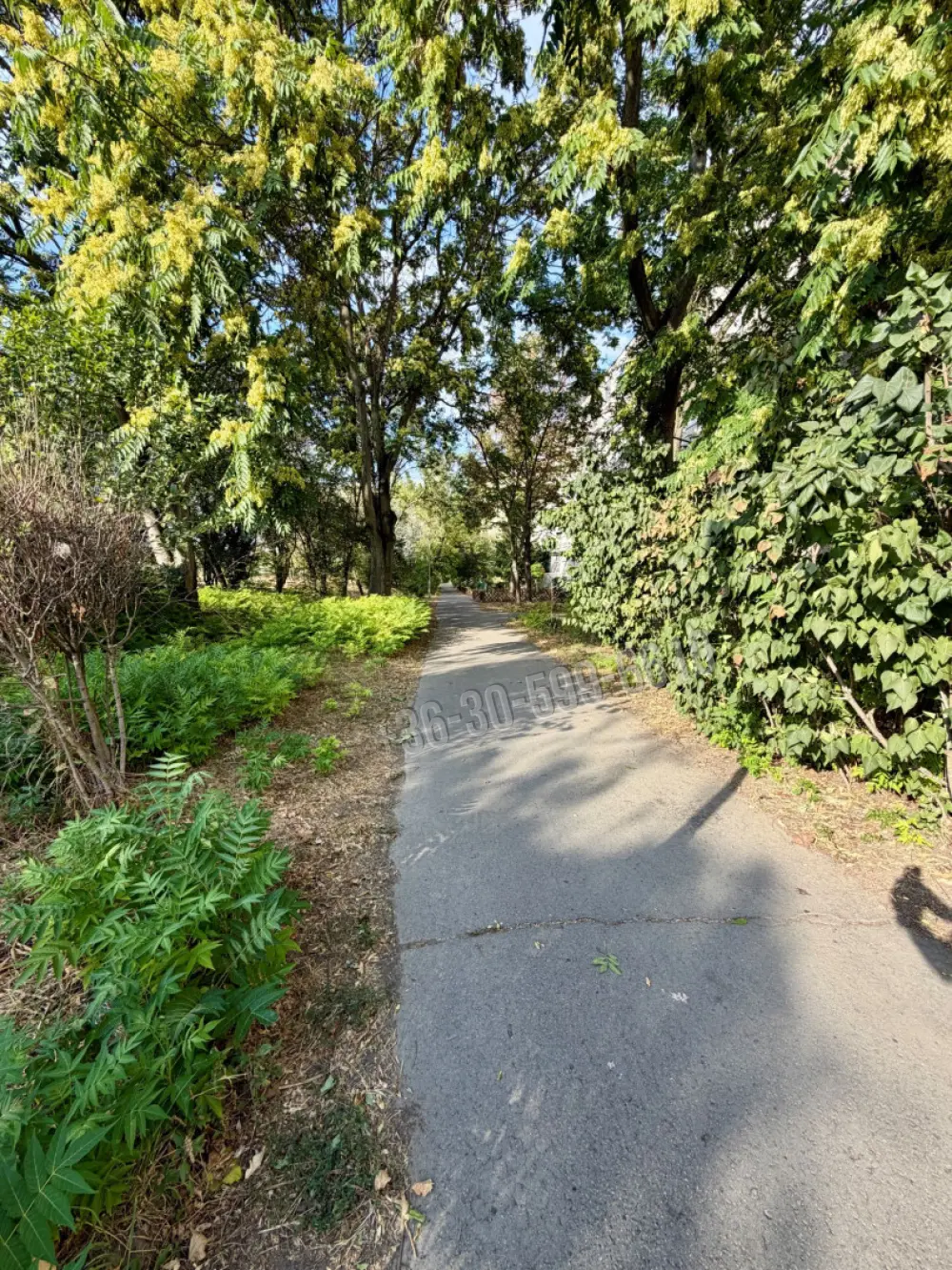 Csongrád megye - Szeged