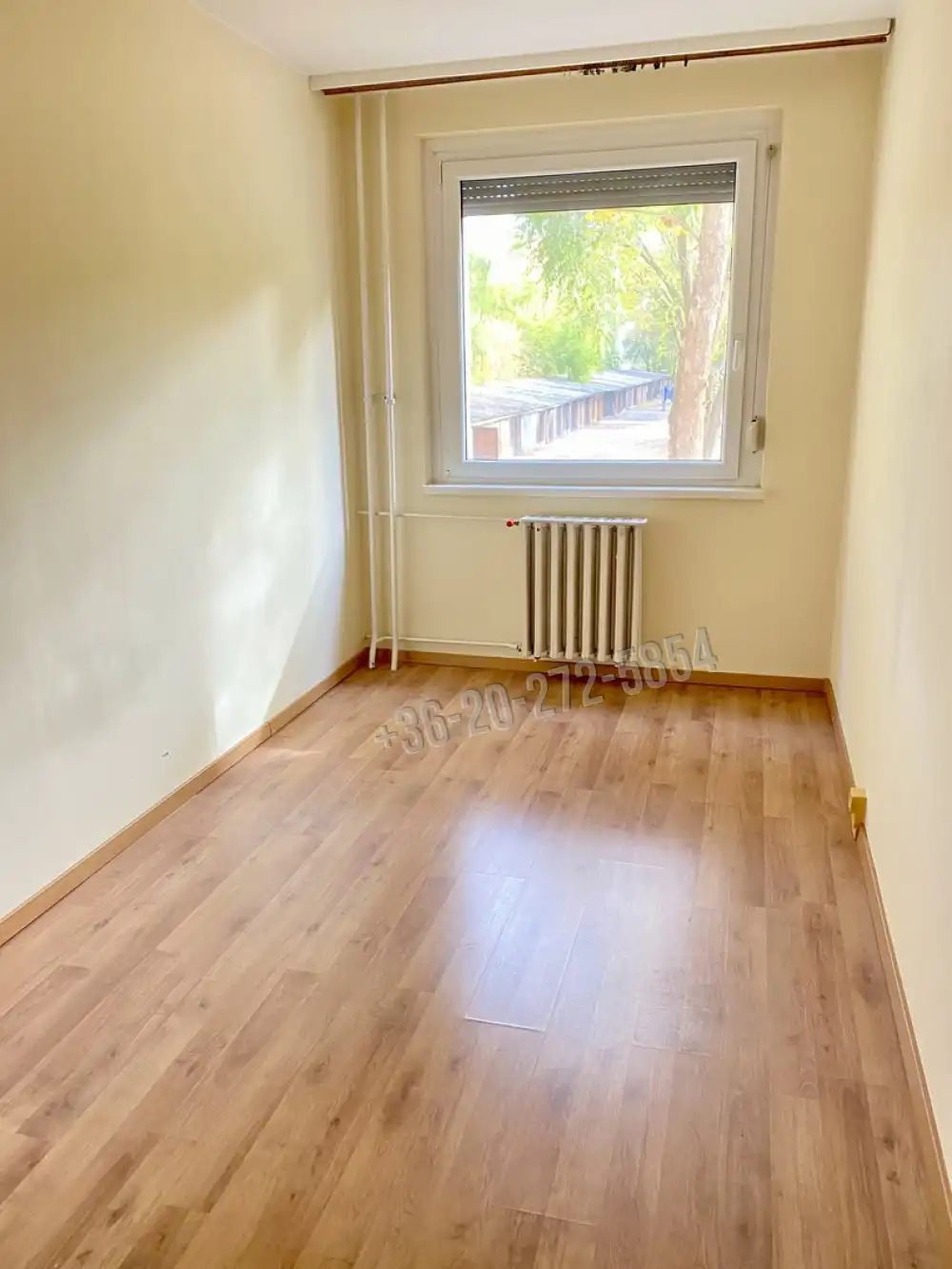 Csongrád megye - Szeged