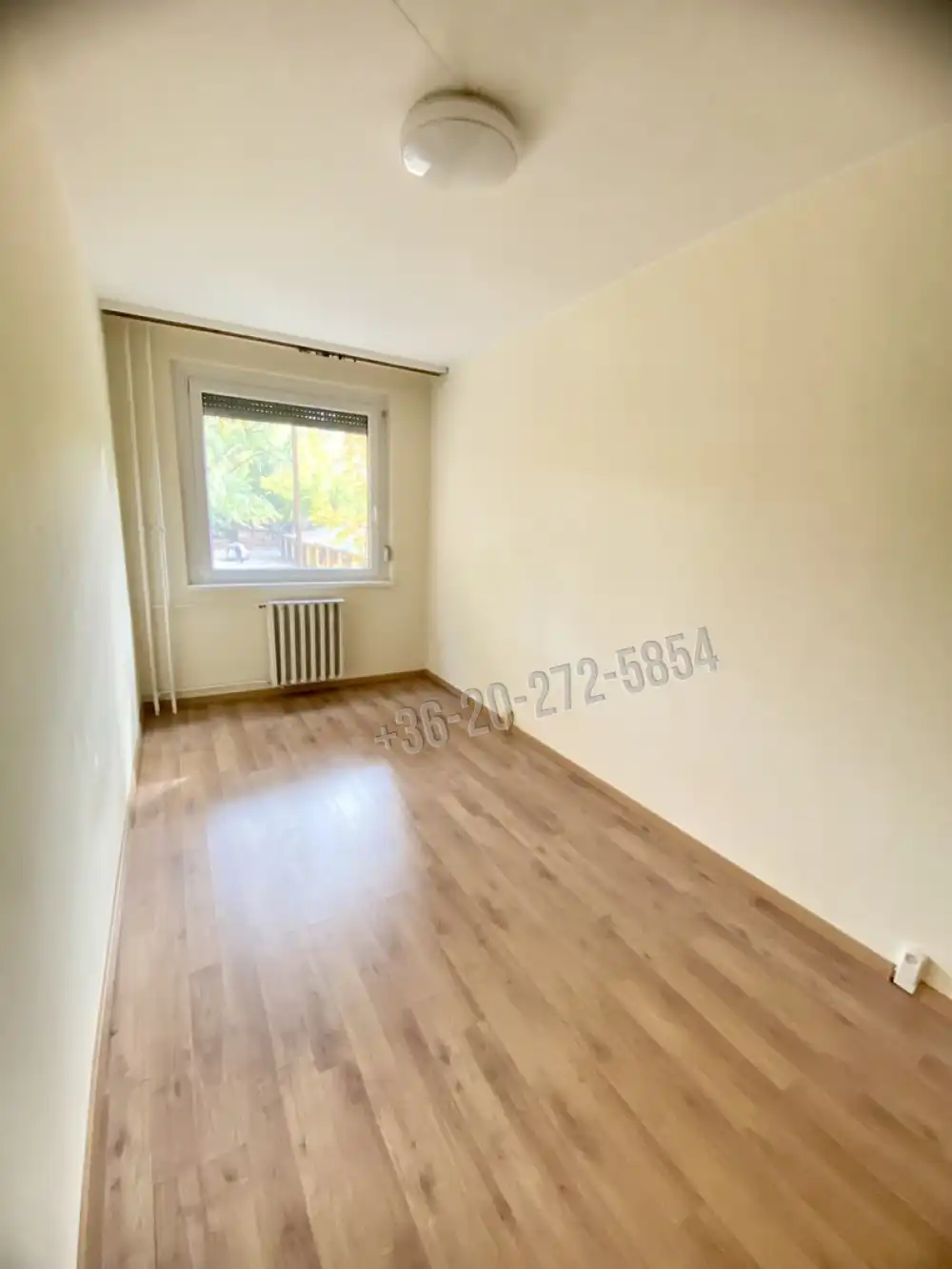 Csongrád megye - Szeged