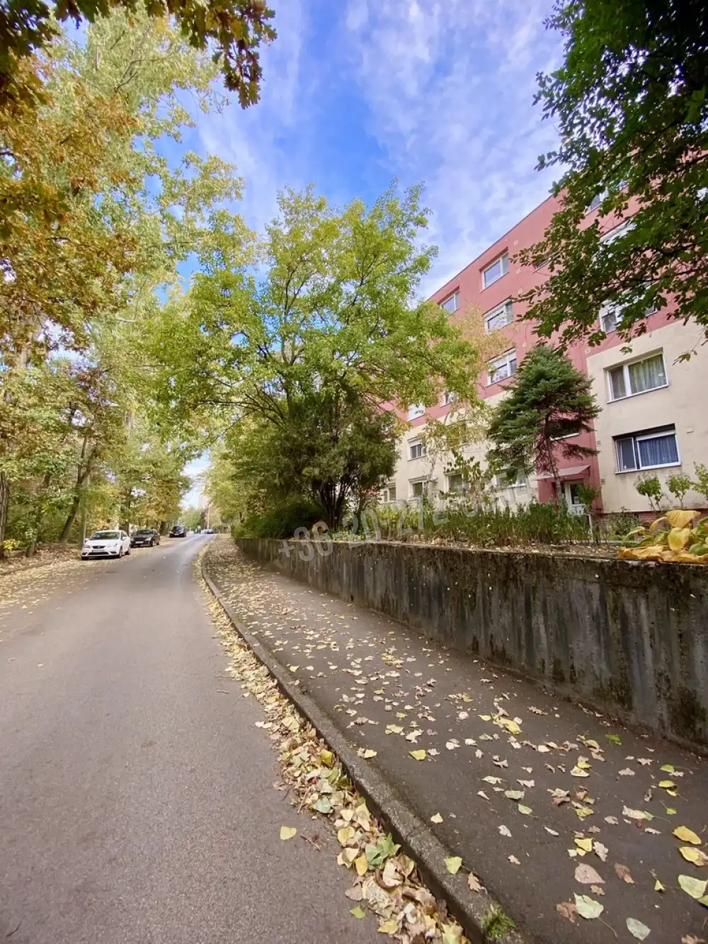 Csongrád megye - Szeged