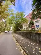 Csongrád megye - Szeged
