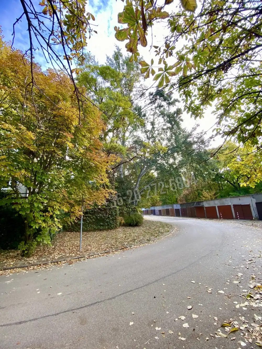 Csongrád megye - Szeged
