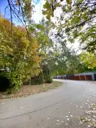 Csongrád megye - Szeged
