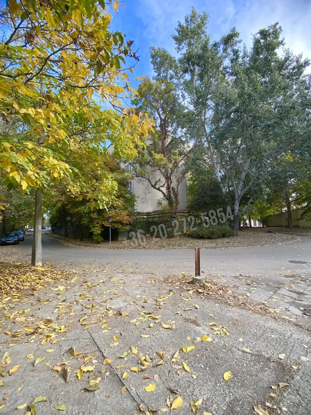 Csongrád megye - Szeged