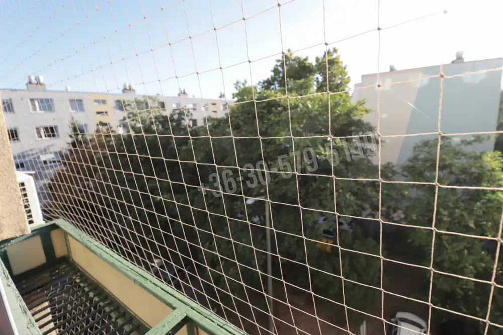 Csongrád megye - Szeged