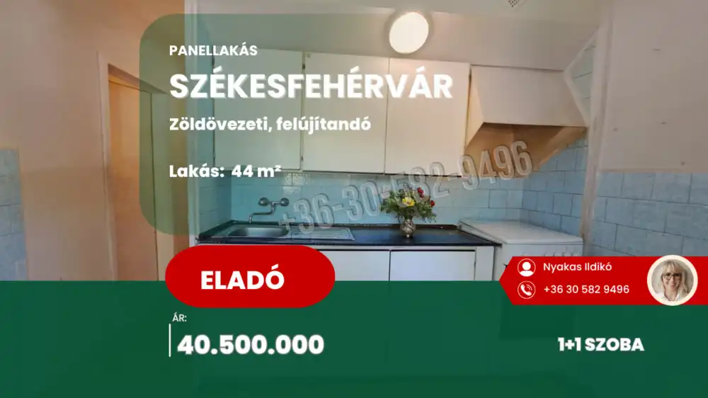 Fejér megye - Székesfehérvár