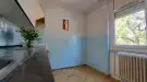 Fejér megye - Székesfehérvár