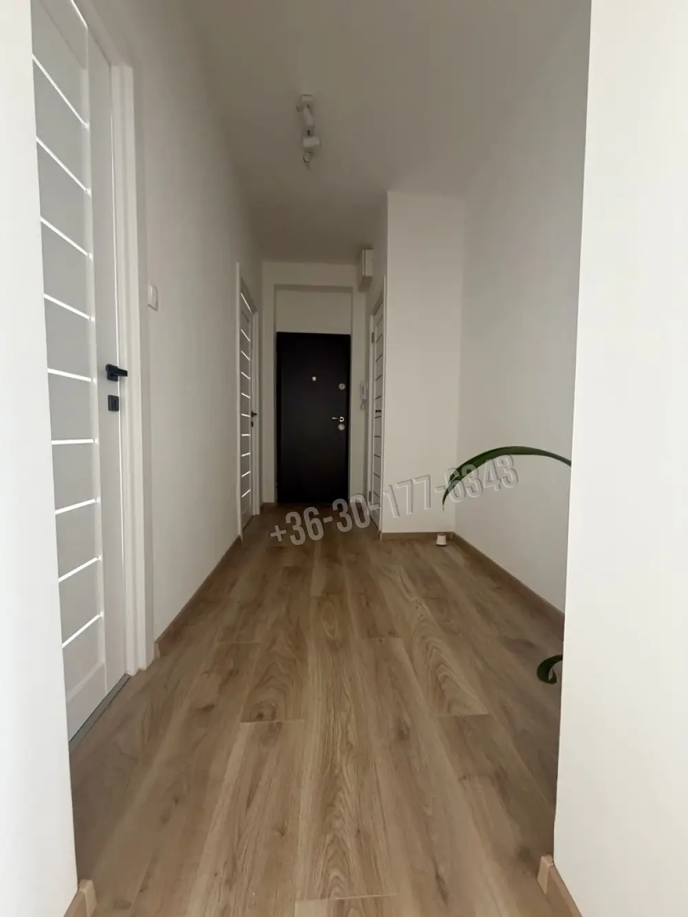 Komárom-Esztergom megye - Tatabánya