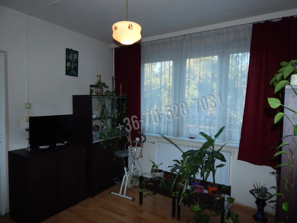 Komárom-Esztergom megye - Tatabánya