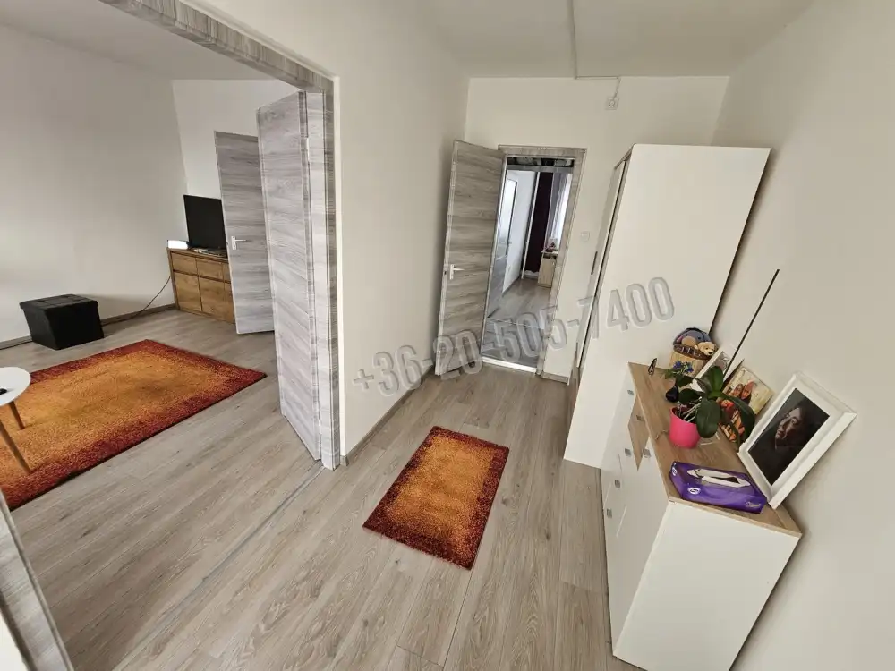 Borsod-Abaúj-Zemplén megye - Tiszaújváros