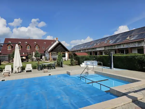 Eladó panzió, Baks 20+5 szoba 1062 m² 349 M Ft