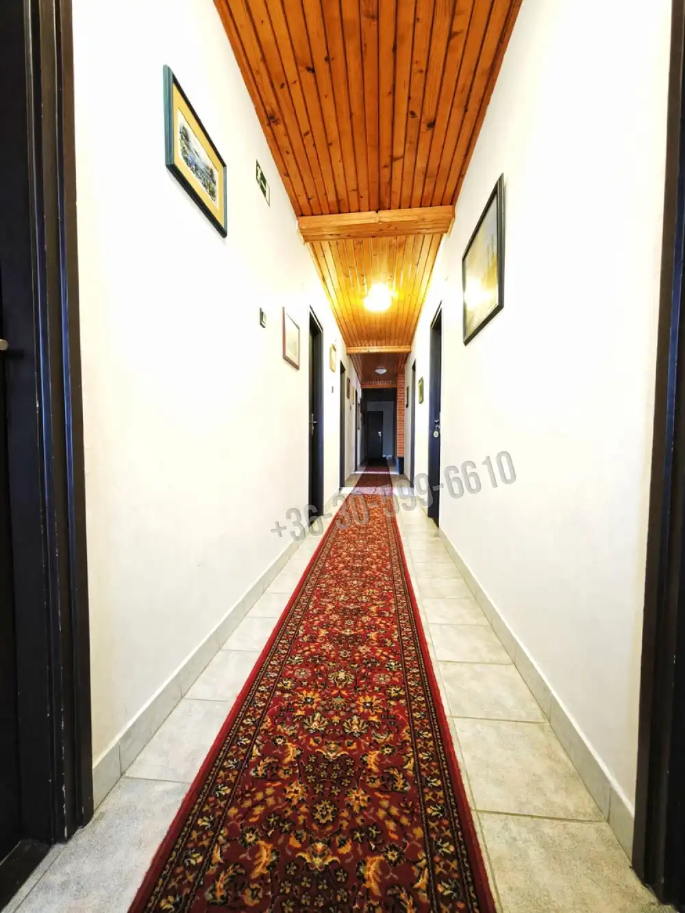 Csongrád megye - Baks