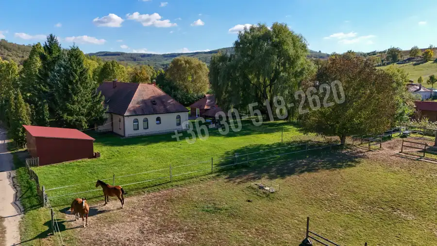 eladó panzió, Kisecset