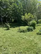 Zala megye - Csatár