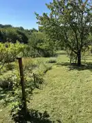 Zala megye - Csatár