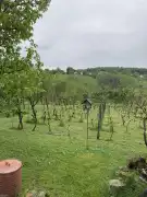 Zala megye - Csatár