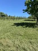 Zala megye - Csatár