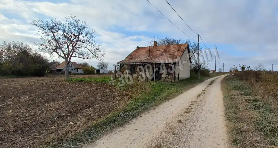 eladó pince, Polgárdi
