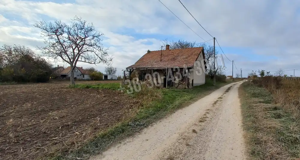 Fejér megye - Polgárdi