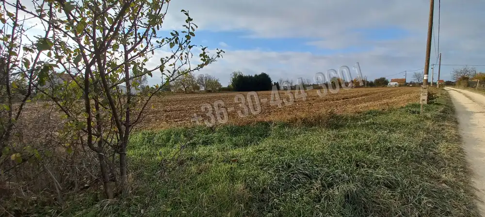 Fejér megye - Polgárdi