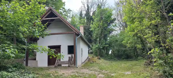 Eladó pince, Vértesboglár 30 m² 13.9 M Ft