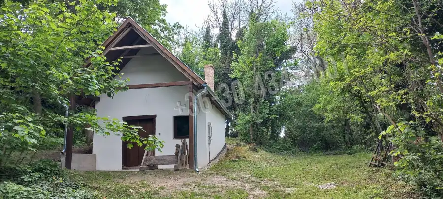 eladó pince, Vértesboglár