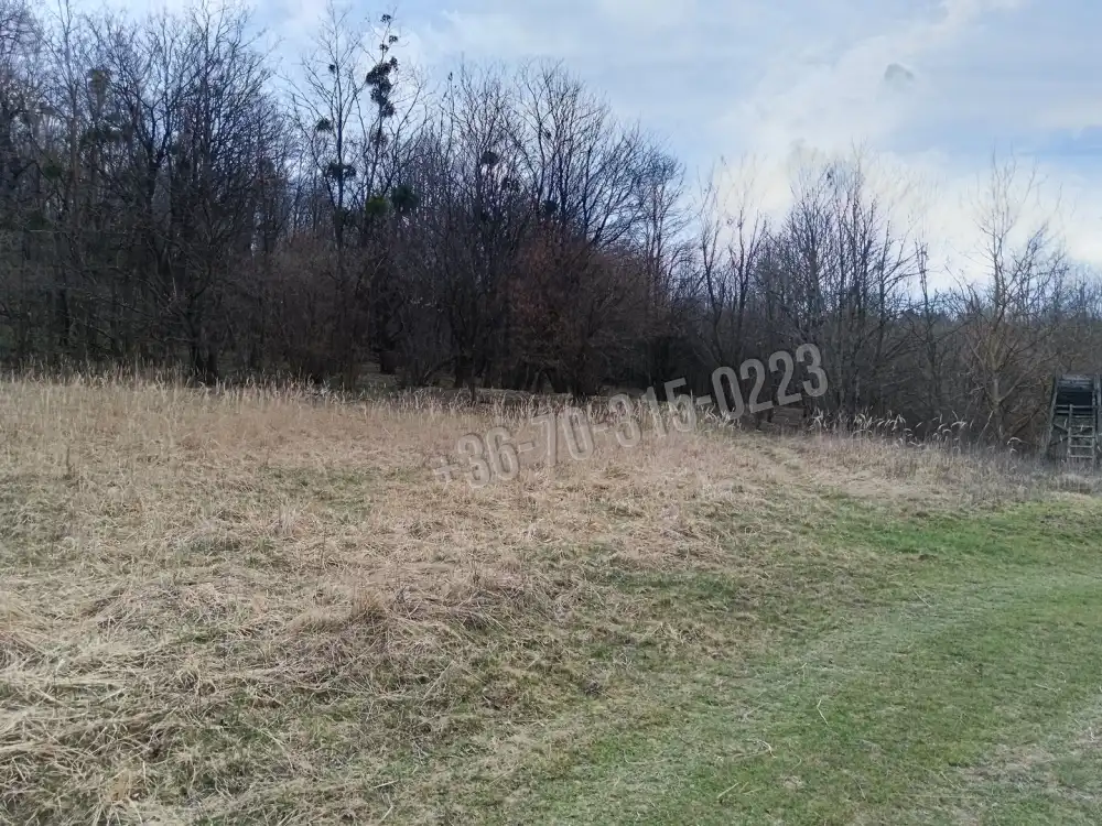 Zala megye - Pusztamagyaród