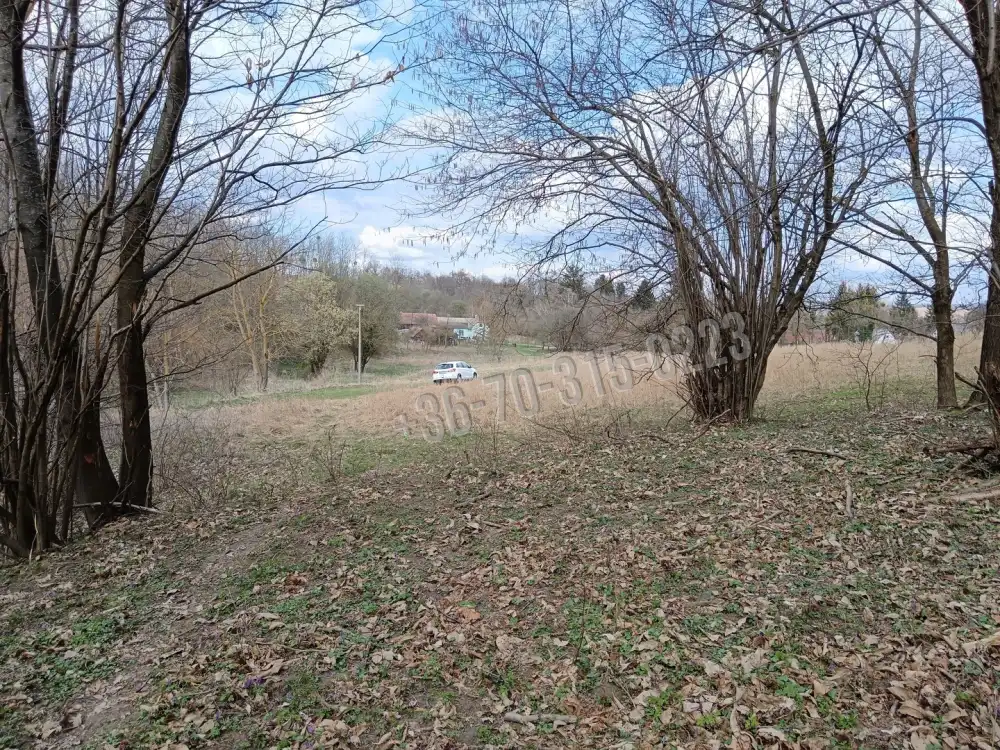 Zala megye - Pusztamagyaród