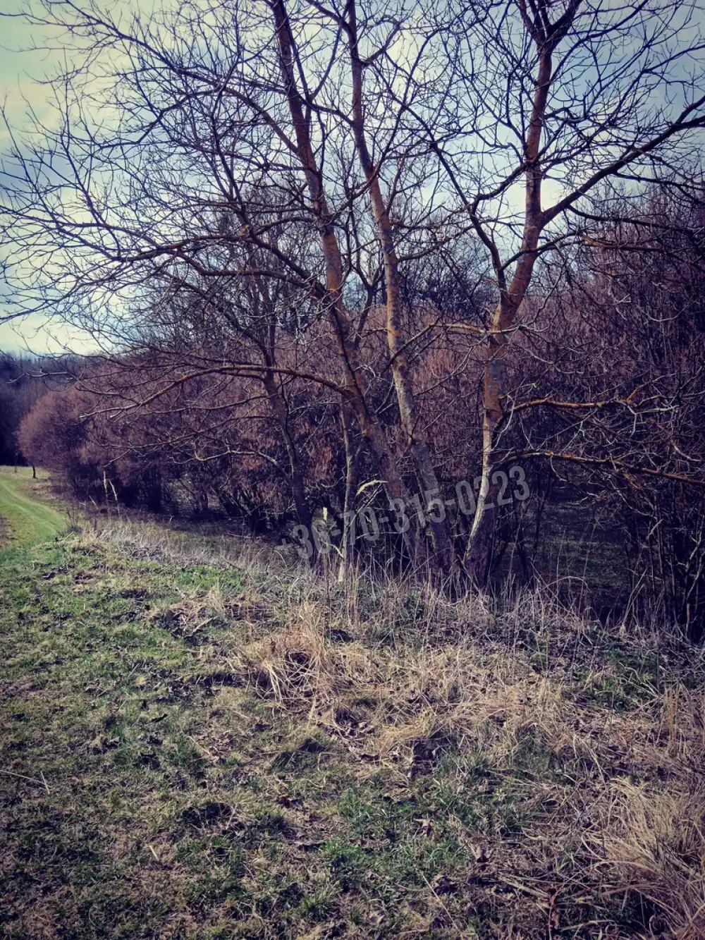 Zala megye - Pusztamagyaród