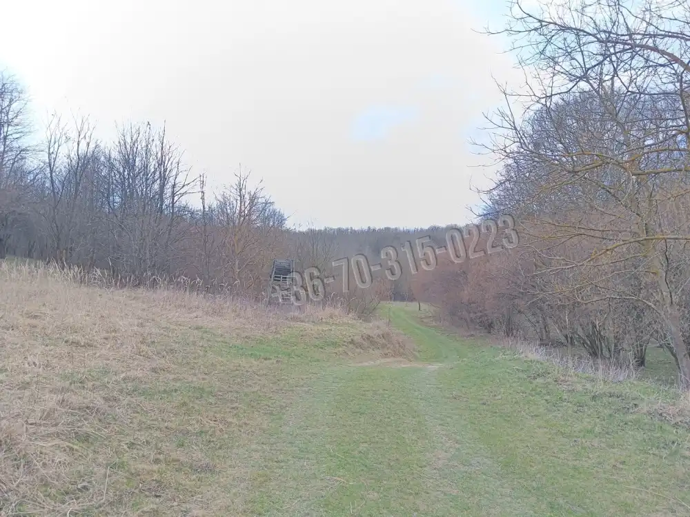 Zala megye - Pusztamagyaród