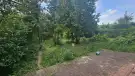 Pest megye - Budakeszi