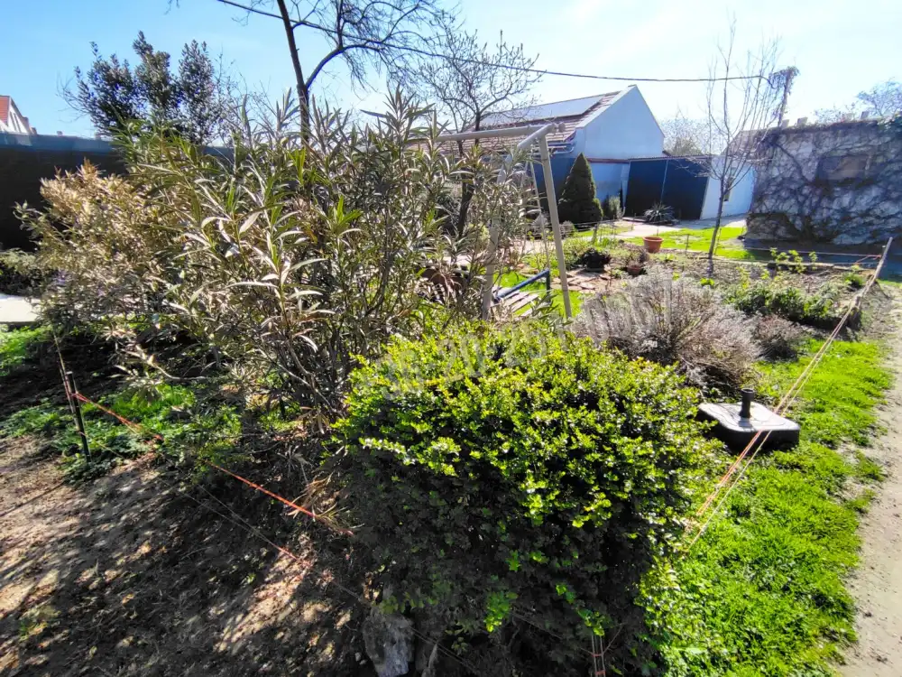 Baranya megye - Mohács