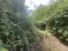 Komárom-Esztergom megye - Tatabánya